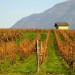 La maison des vignes